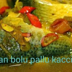 Ikan Bolu Pallu Kacci   Nasi