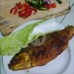 Frozen Ikan Bandeng Presto   Sambal