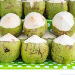 20x Kelapa Muda Murni Papas Atas Bawah