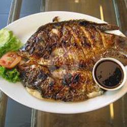 Ikan Bakar / Grill Fish