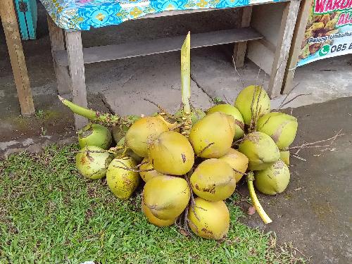 Es Kopyor Kelapa Muda, Umbulharjo, Cangkringan