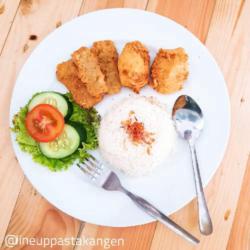 Nasi Tanggal Tua 1 ( Nasi Tahu Tempe Salad )