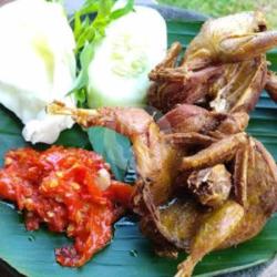 Burung Puyuh (goreng/bakar)