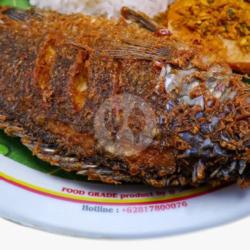 Nila Goreng