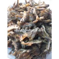 Ikan Nilem
