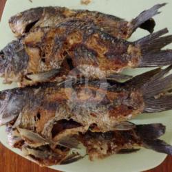 Ikan Mas Tombur