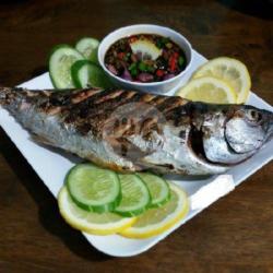 Ikan Tongkol Bakar /nasi/lalap Sambel