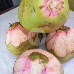 Kelapa Hijau  Obat Ukuran Sedang