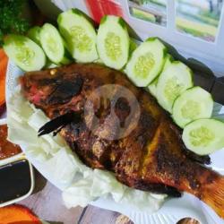 Ikan Kakap (kaci-kaci ) Bakar / Goreng