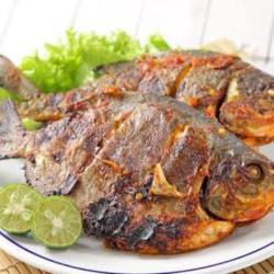 Ikan Bawal Bakar