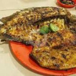 Ikan Baronang Bakar Saus Madu