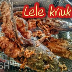 Nasi Lele Kriuk