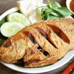 Ikan Nila Goreng
