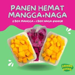 Panen Hemat Mangga Naga