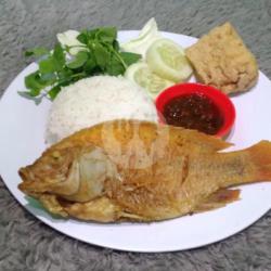 Nasi  Kakap Nila Goreng