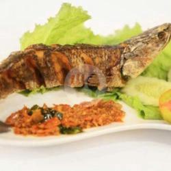 Ikan Gabus Goreng