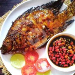 Ikan Nila Bakar Madu Singel