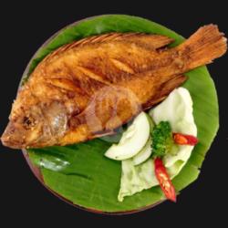 Ikan Nila