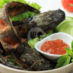 Ikan Lele Goreng