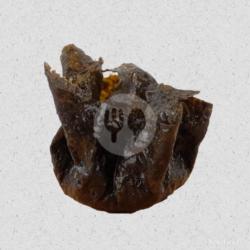 Siomay Dimsum Nori (1pcs)