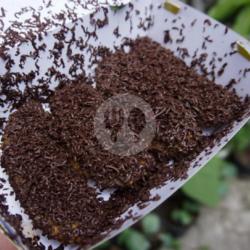 Crispy Banana Choco (small)