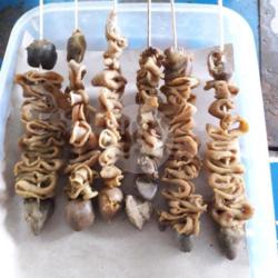 Sate Usus