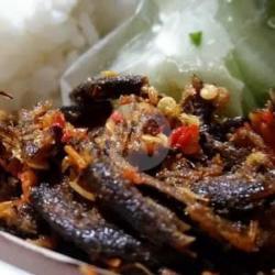 Paket Nasi Sambal Welut