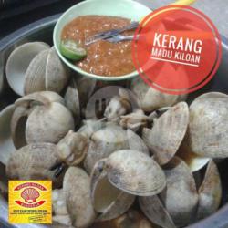 Kerang Madu