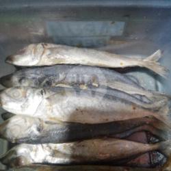 Ikan Japuh Goreng Dadakan