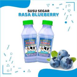 Susu Segar Rasa Blueberry