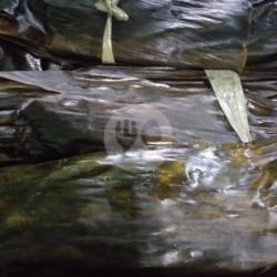 Pepes Ikan Gurame
