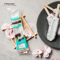 Chocolate Mint Ice Bar