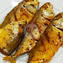 Satu Potong Ikan Katombo