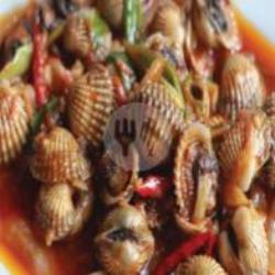 Kerang Dara