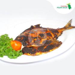 Bawal Hitam Bakar