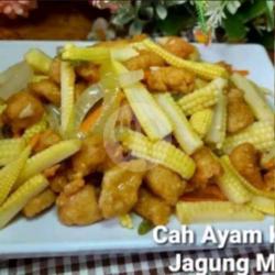 Ayam Cah Jagung Muda