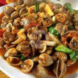 Kerang Dara