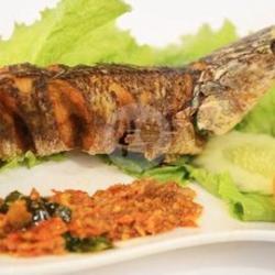 Ikan Gabus Goreng Nasi Dan Es Teh