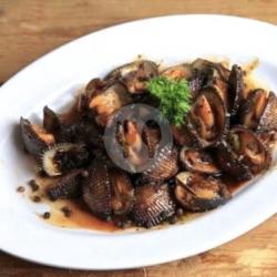 Kerang Dara Lada Hitam