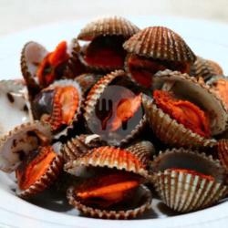 Kerang Dara Rebus