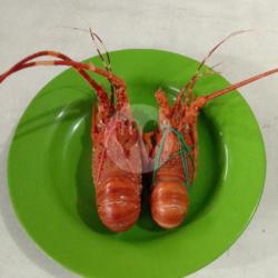 Udang Lobster Saos Padang