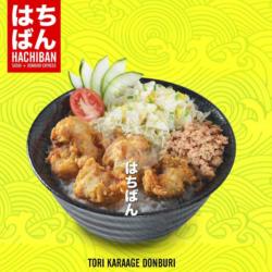 Tori Karaage Donburi