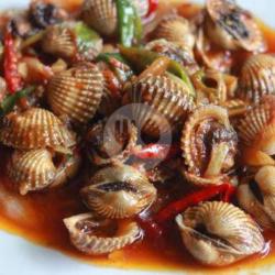 Kerang Dara