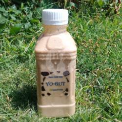 Yoghurt Mocca Botol