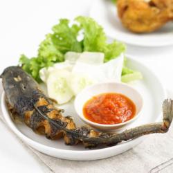 Paket Nasi Pecel Lele