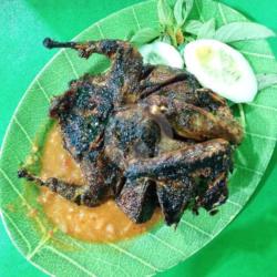 Burung Bakar