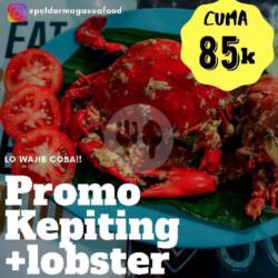 Paket Kepiting   Lobster