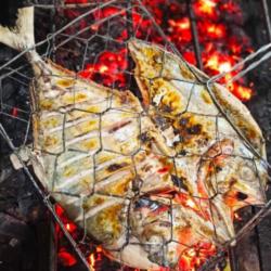Ikan Gurame Bakar