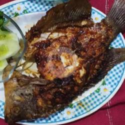 Lalapan Ikan Gurami Bakar