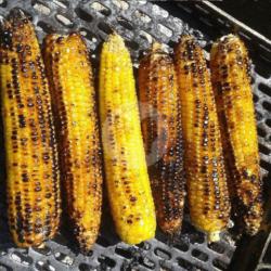 Jagung Bakar Rasa Madu